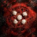 Per non dimenticare...coronavirus 2020