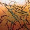 Arte in movimento