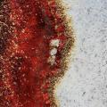 La bellezza é negli occhi di chi guarda