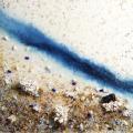 Il profumo del mare